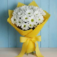 Букет цветов из:  Хризантемы в Мостовском