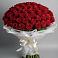 Букет 101 Красная роза Блэк Мэджик в Мостовском