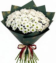 Букет цветов из:  Хризантемы в Мостовском