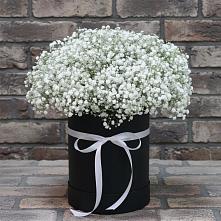 Цветочная композиция из Гипсофила в шляпной коробке в Мостовском