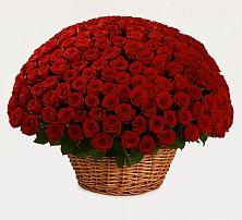 Премиум букет из: Розы #REPLACE_PRED# Мостовском