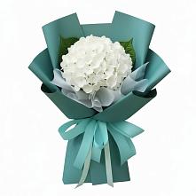 Букет цветов из:  Гортензия #REPLACE_PRED# Мостовском